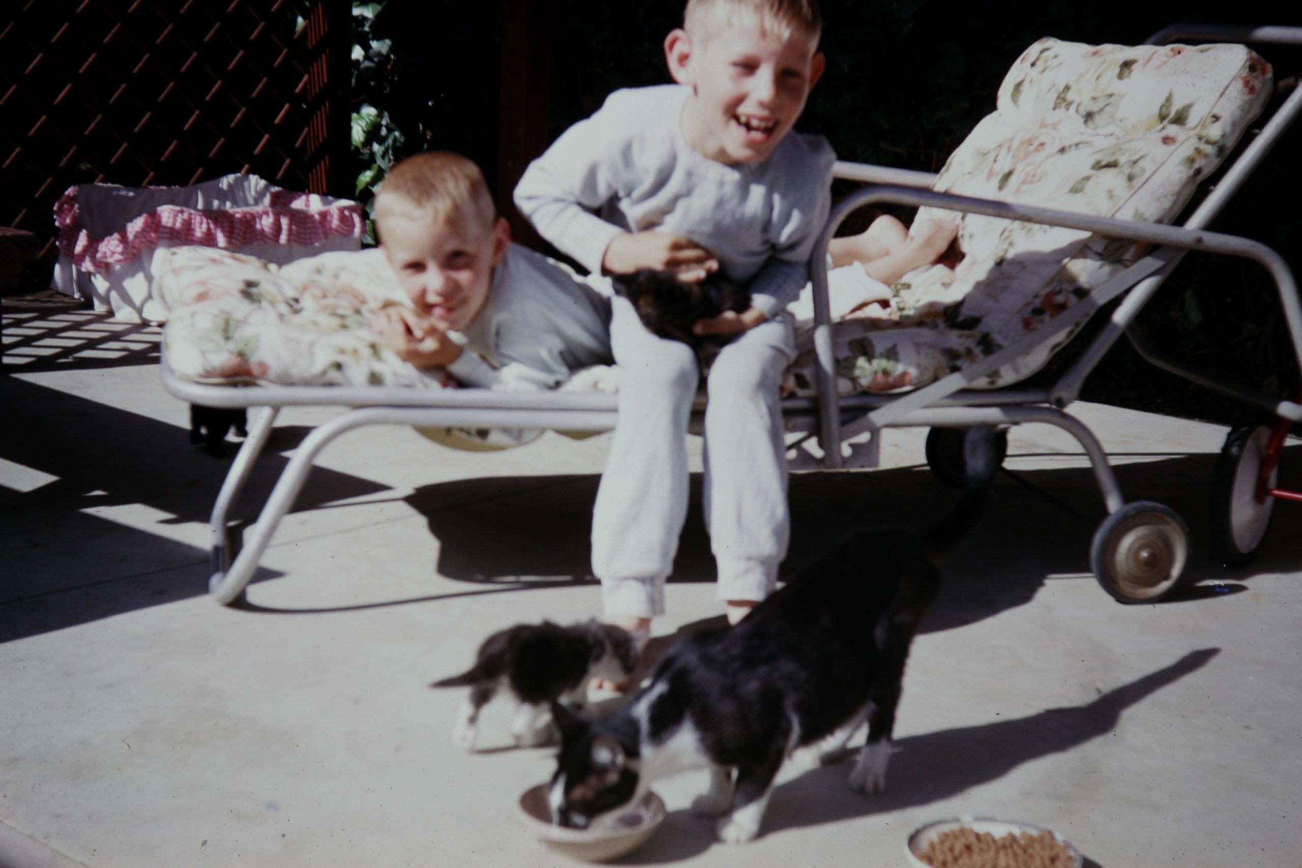 Kris and Kelly with the Kittens